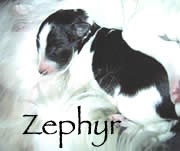 See Zephyr's page