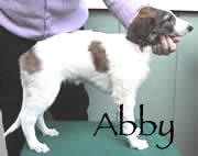 See Abby's page