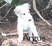 See Argus' page